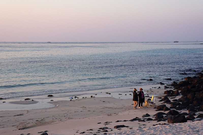 Busan/Jeju-Watching the sunset at the cactus community in Wolryeong-ri, Jeju Island, South Korea