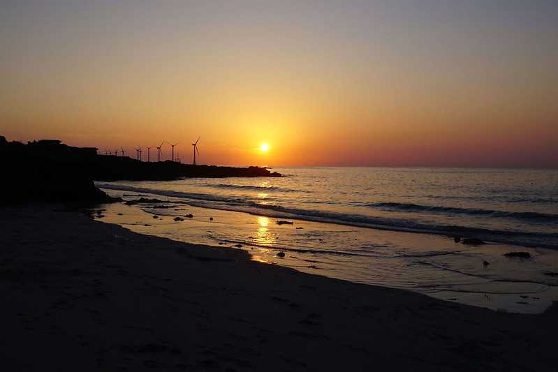 Busan/Jeju-Watching the sunset at the cactus community in Wolryeong-ri, Jeju Island, South Korea