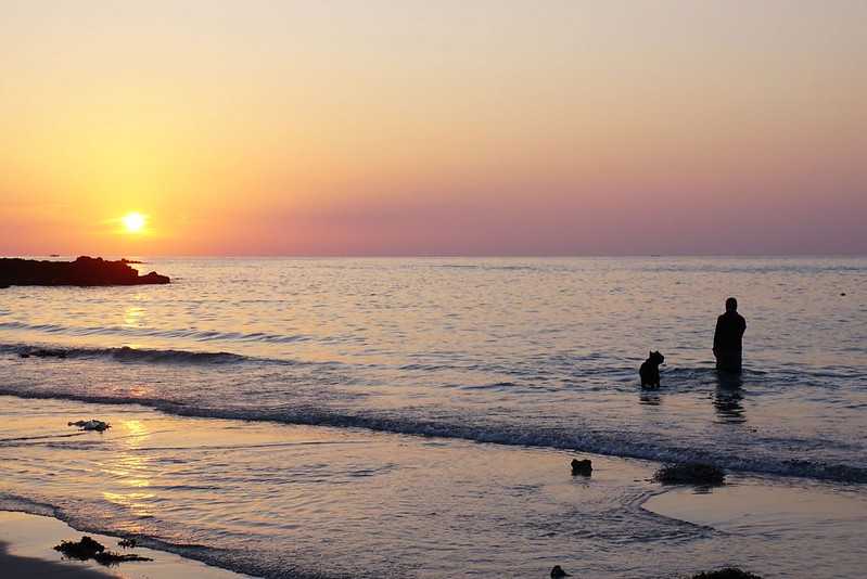 Busan/Jeju-Watching the sunset at the cactus community in Wolryeong-ri, Jeju Island, South Korea