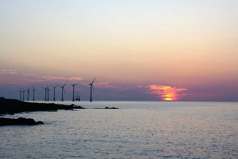 Busan/Jeju-Watching the sunset at the cactus community in Wolryeong-ri, Jeju Island, South Korea