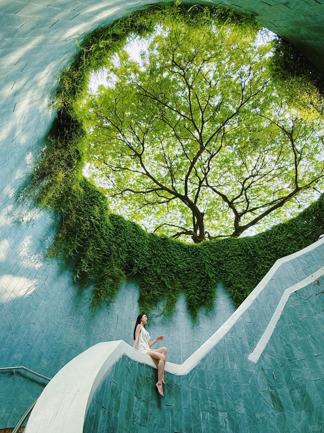 Singapore-Singapore Changi Airport rooftop waterfall, the real-life version of Zootopia