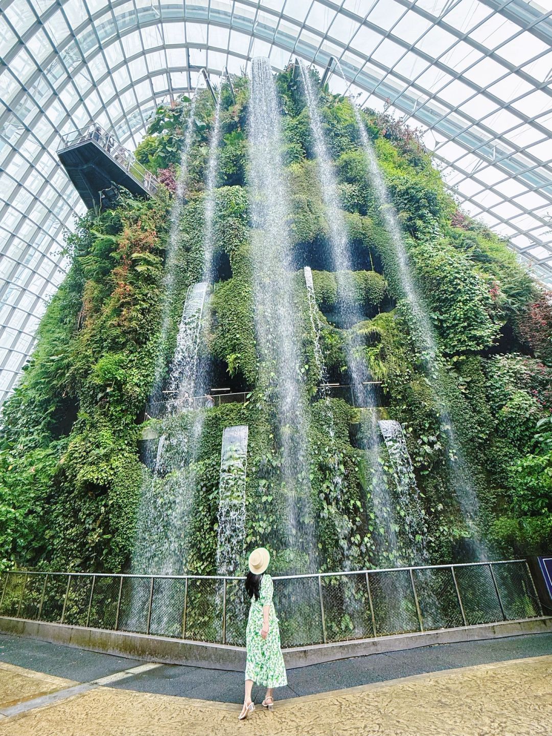 Singapore-Singapore Changi Airport rooftop waterfall, the real-life version of Zootopia