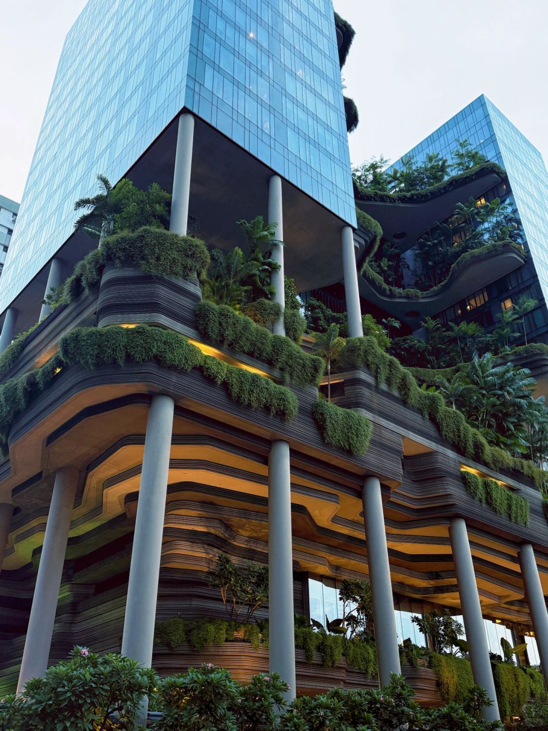Singapore-Singapore Changi Airport rooftop waterfall, the real-life version of Zootopia