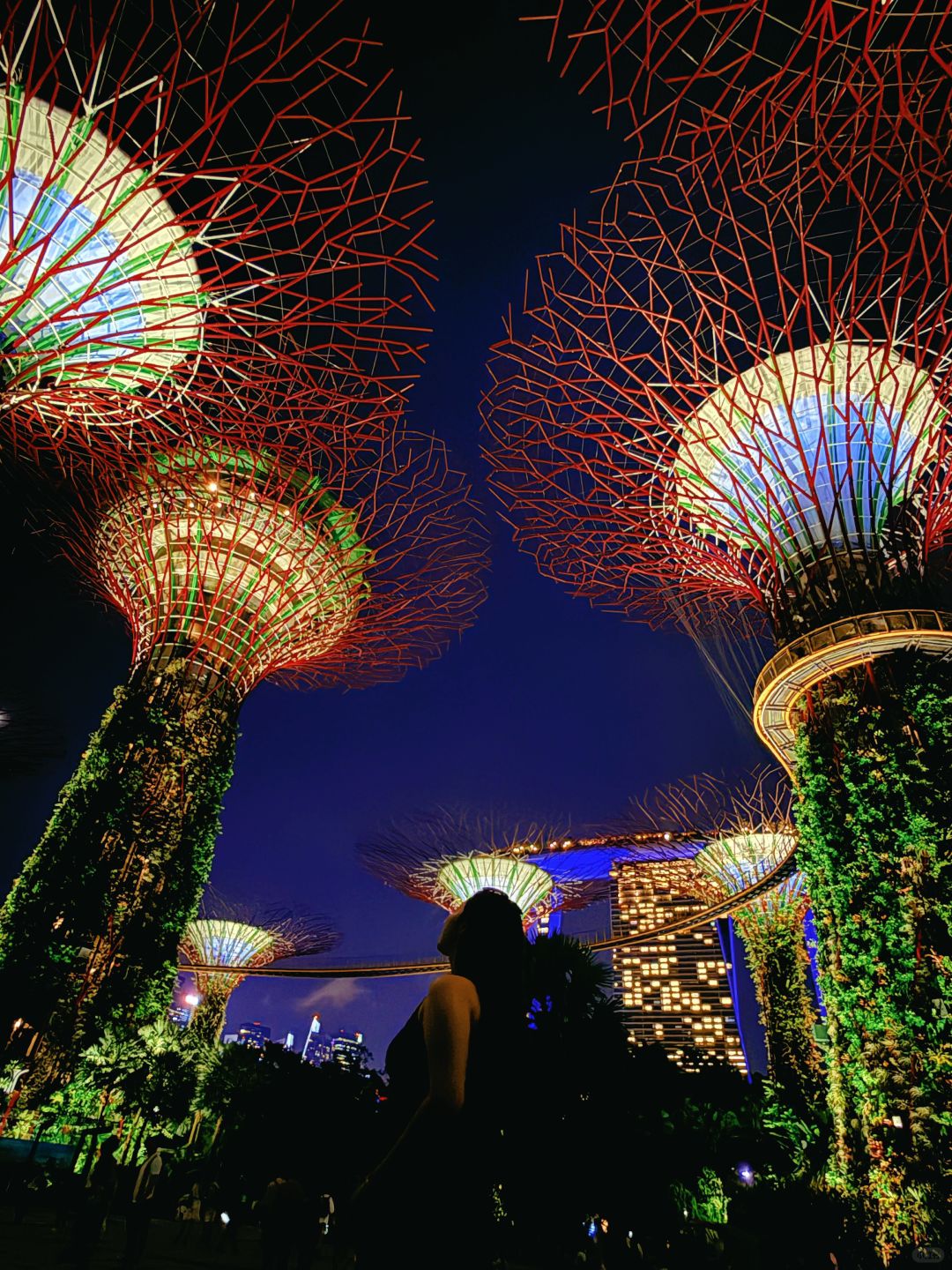 Singapore-Singapore Changi Airport rooftop waterfall, the real-life version of Zootopia