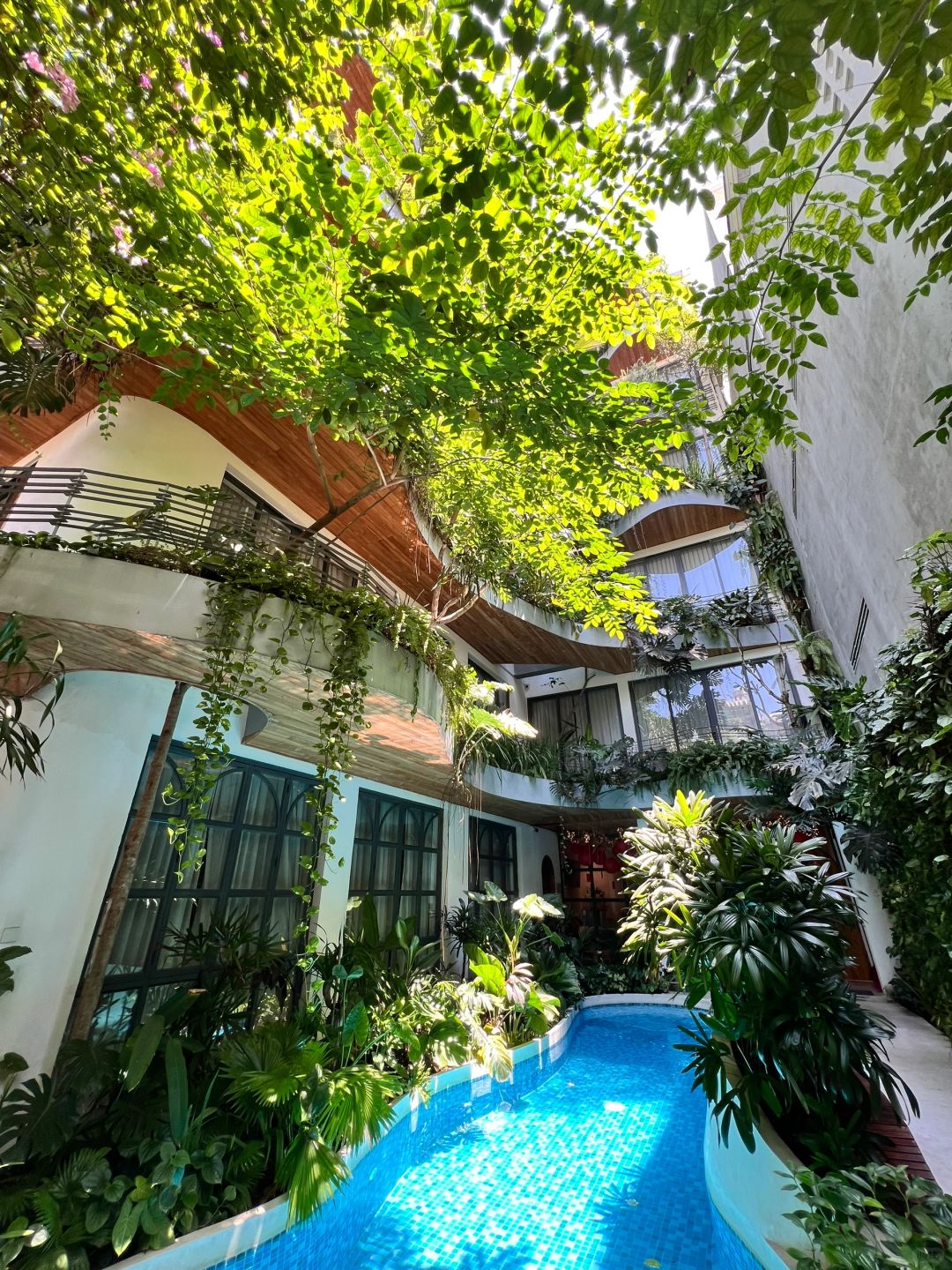 Ho Chi Minh-City Oasis, B&B in Ho Chi Minh City, Vietnam, away from the hustle and bustle of the city