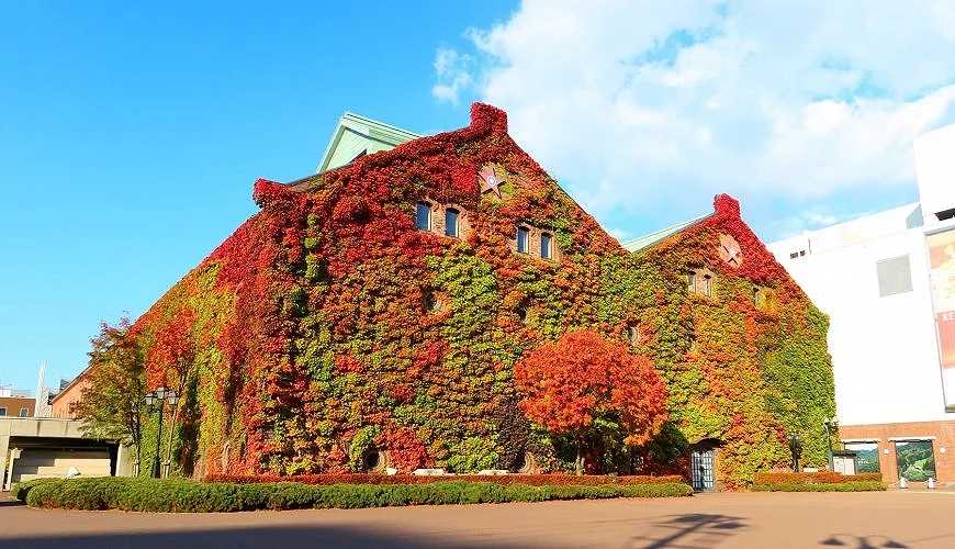 Sapporo/Hokkaido-Hokkaido Autumn Travel: Unlock the Blue Pond in Biei, the Fall Foliage at Jozankei, and the Toyako Hot Spring