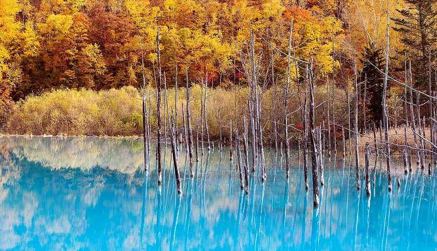 Sapporo/Hokkaido-Hokkaido Autumn Travel: Unlock the Blue Pond in Biei, the Fall Foliage at Jozankei, and the Toyako Hot Spring