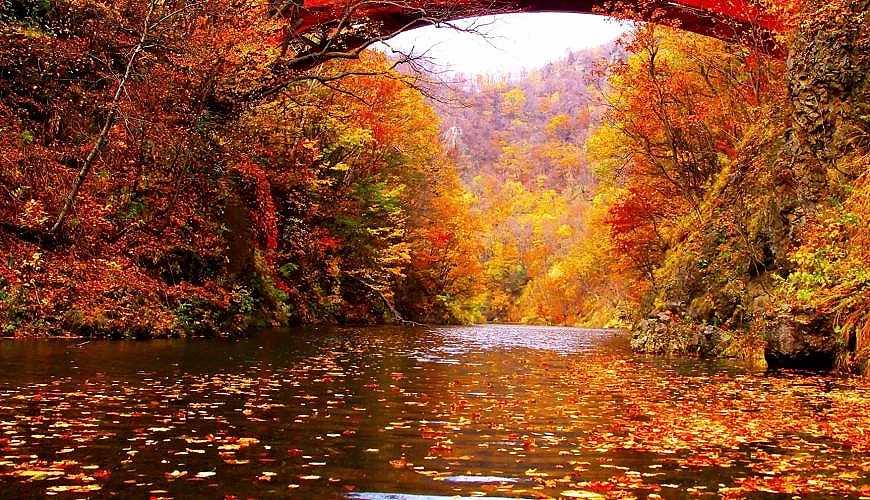 Sapporo/Hokkaido-Hokkaido Autumn Travel: Unlock the Blue Pond in Biei, the Fall Foliage at Jozankei, and the Toyako Hot Spring