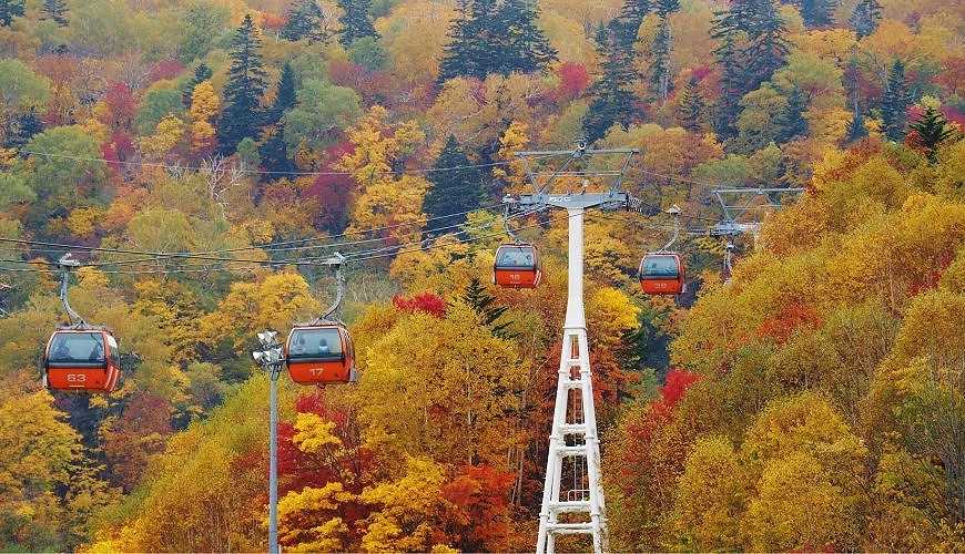 Sapporo/Hokkaido-Hokkaido Autumn Travel: Unlock the Blue Pond in Biei, the Fall Foliage at Jozankei, and the Toyako Hot Spring