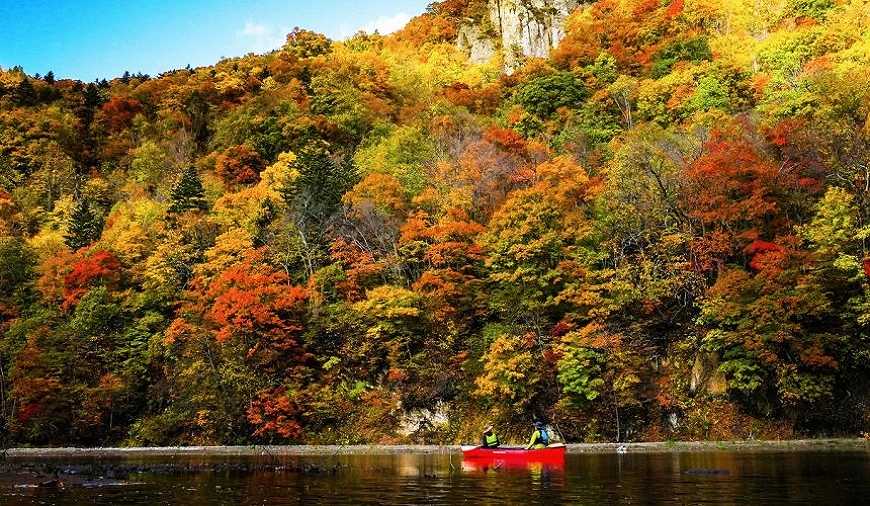 Sapporo/Hokkaido-Hokkaido Autumn Travel: Unlock the Blue Pond in Biei, the Fall Foliage at Jozankei, and the Toyako Hot Spring