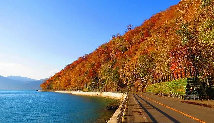 Sapporo/Hokkaido-Hokkaido Autumn Travel: Unlock the Blue Pond in Biei, the Fall Foliage at Jozankei, and the Toyako Hot Spring