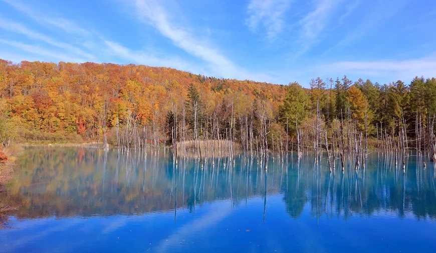 Sapporo/Hokkaido-Hokkaido Autumn Travel: Unlock the Blue Pond in Biei, the Fall Foliage at Jozankei, and the Toyako Hot Spring