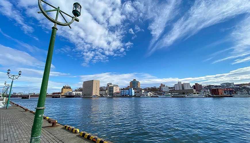 Sapporo/Hokkaido-Hokkaido Free Travel Port Tour: Must-eat Food and Attractions in Hakodate Port, Otaru Port, etc.