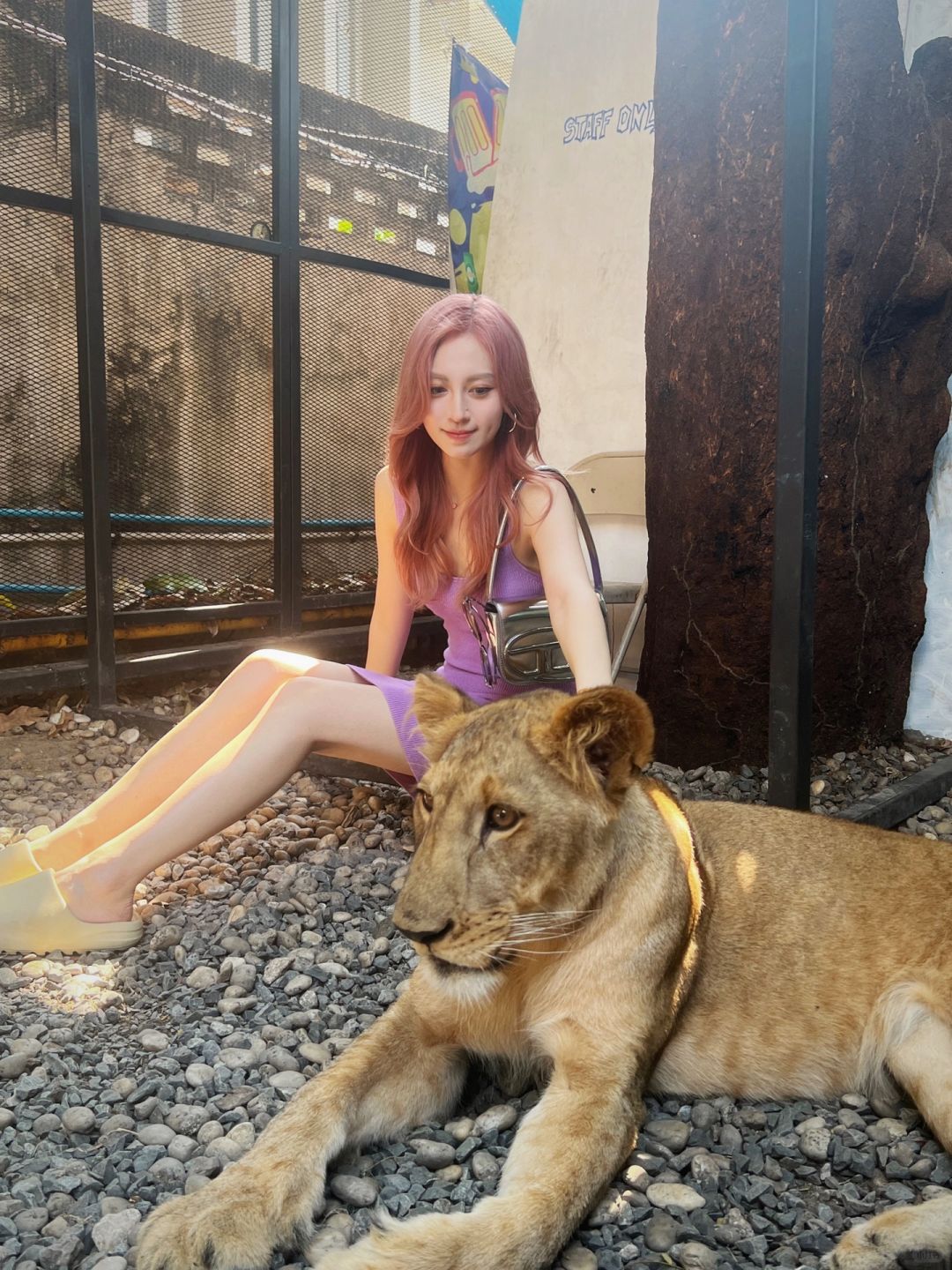Bangkok-A girl’s guide to Bangkok: Order a cup of coffee at L7 CAFÉ and you can pet a lion