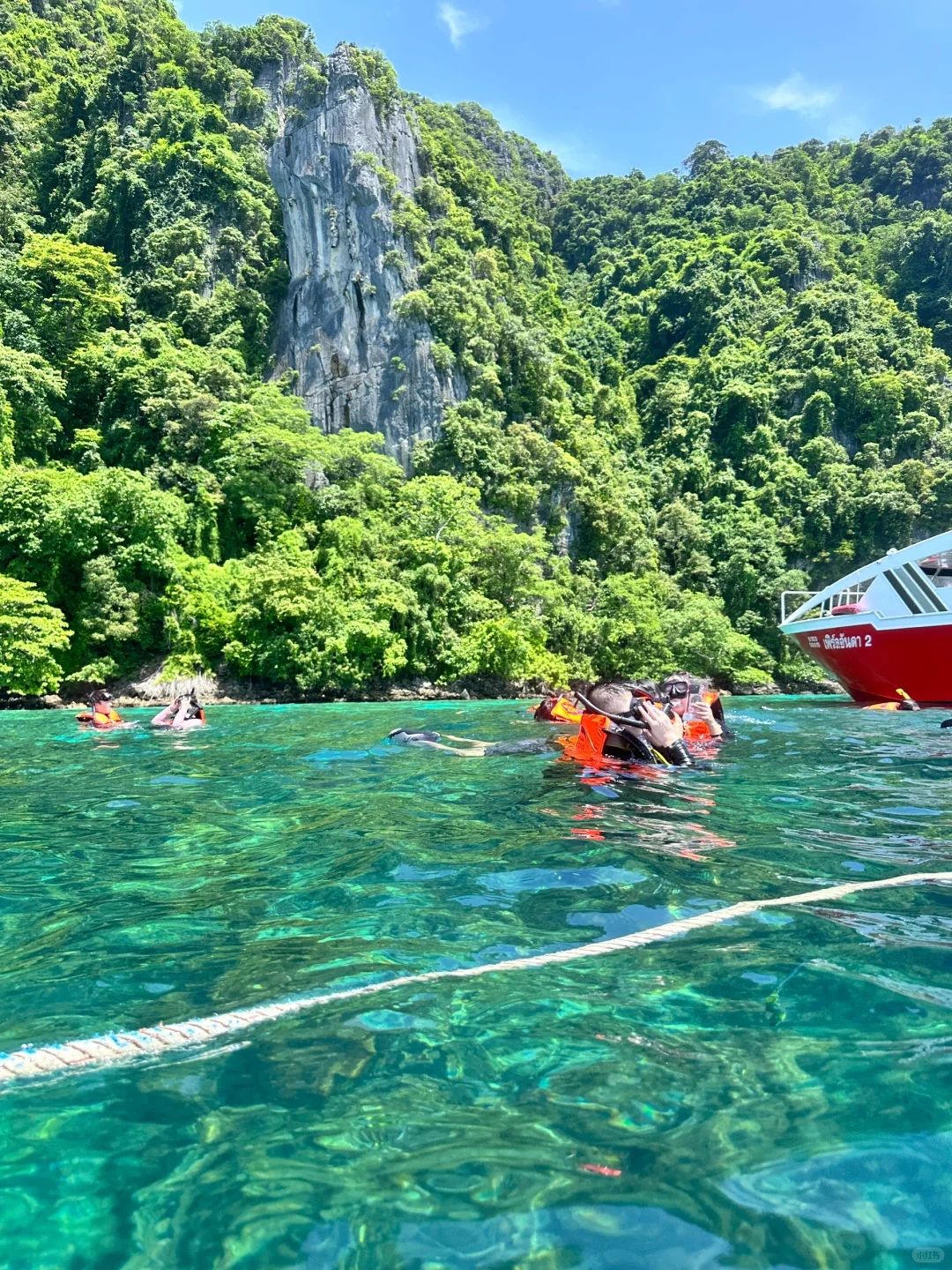 Phuket-Phuket PP Island, experience chasing dolphins and diving under the transparent sea