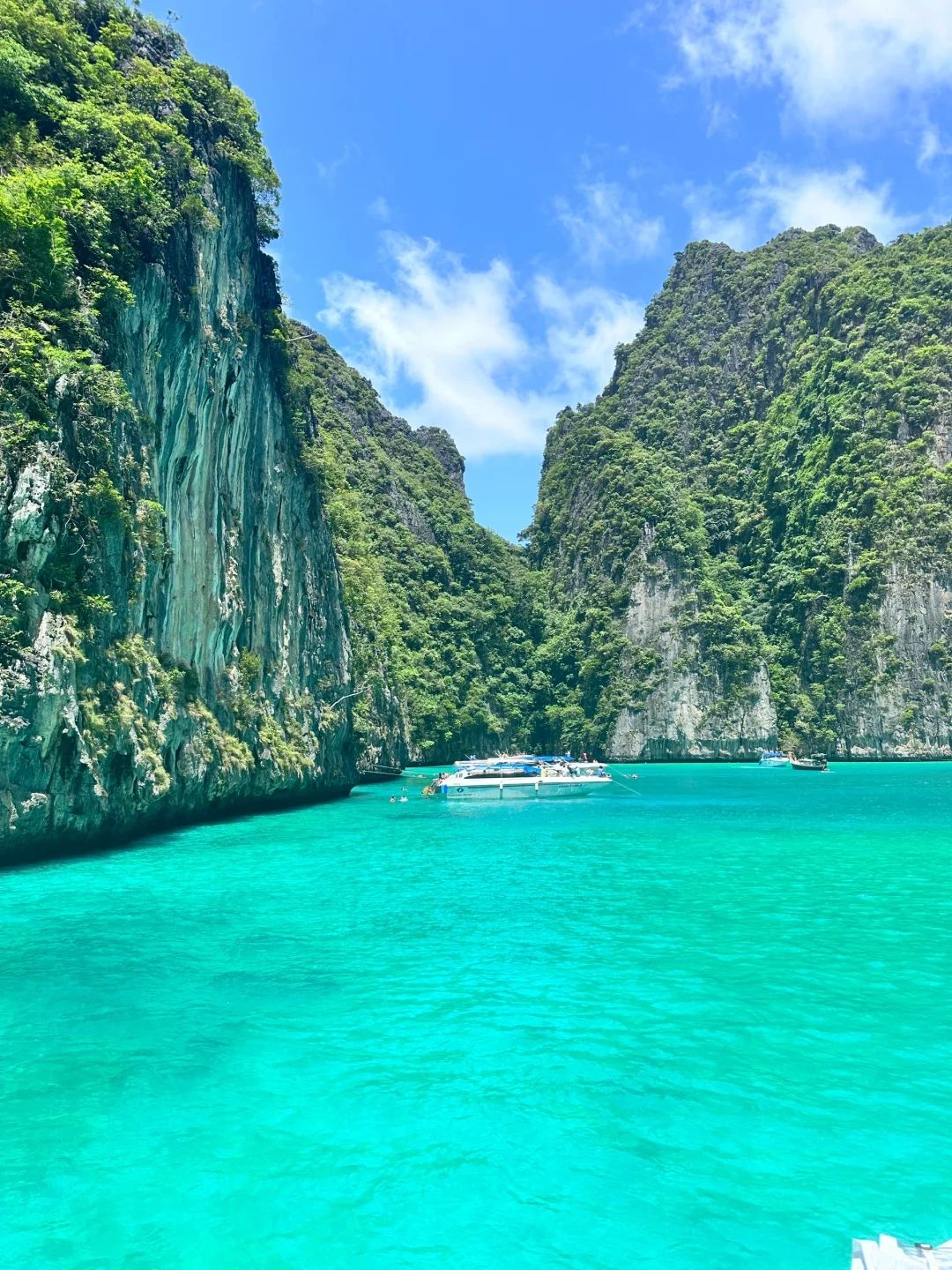 Phuket-Phuket PP Island, experience chasing dolphins and diving under the transparent sea