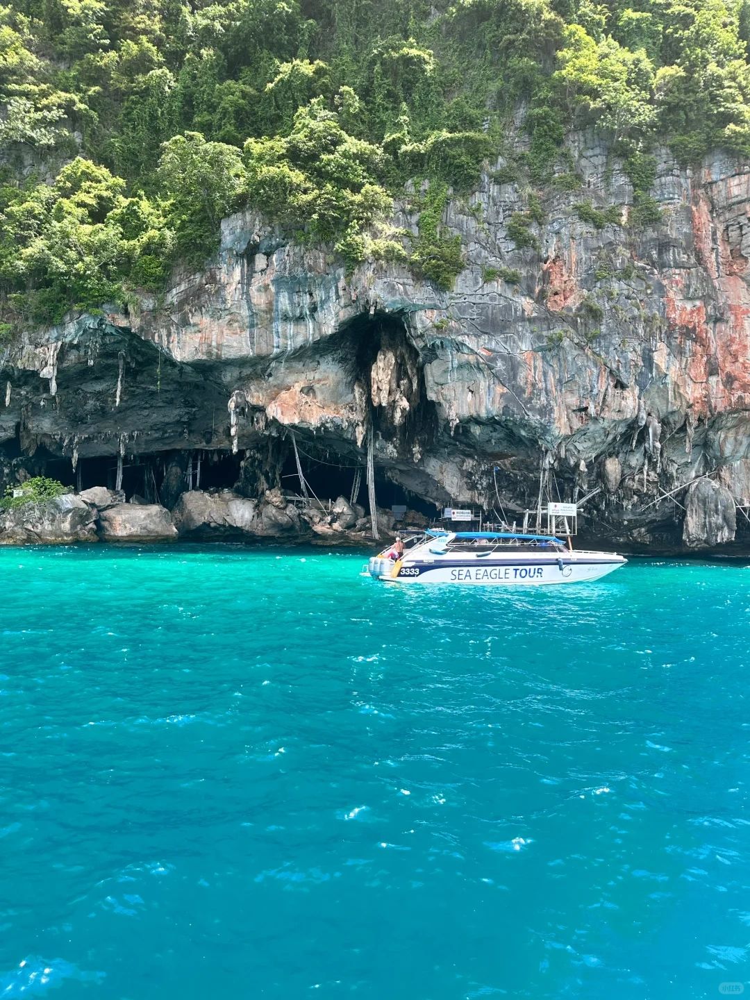 Phuket-Phuket PP Island, experience chasing dolphins and diving under the transparent sea