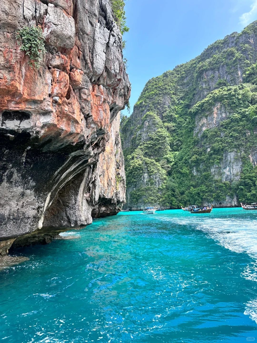 Phuket-Phuket PP Island, experience chasing dolphins and diving under the transparent sea