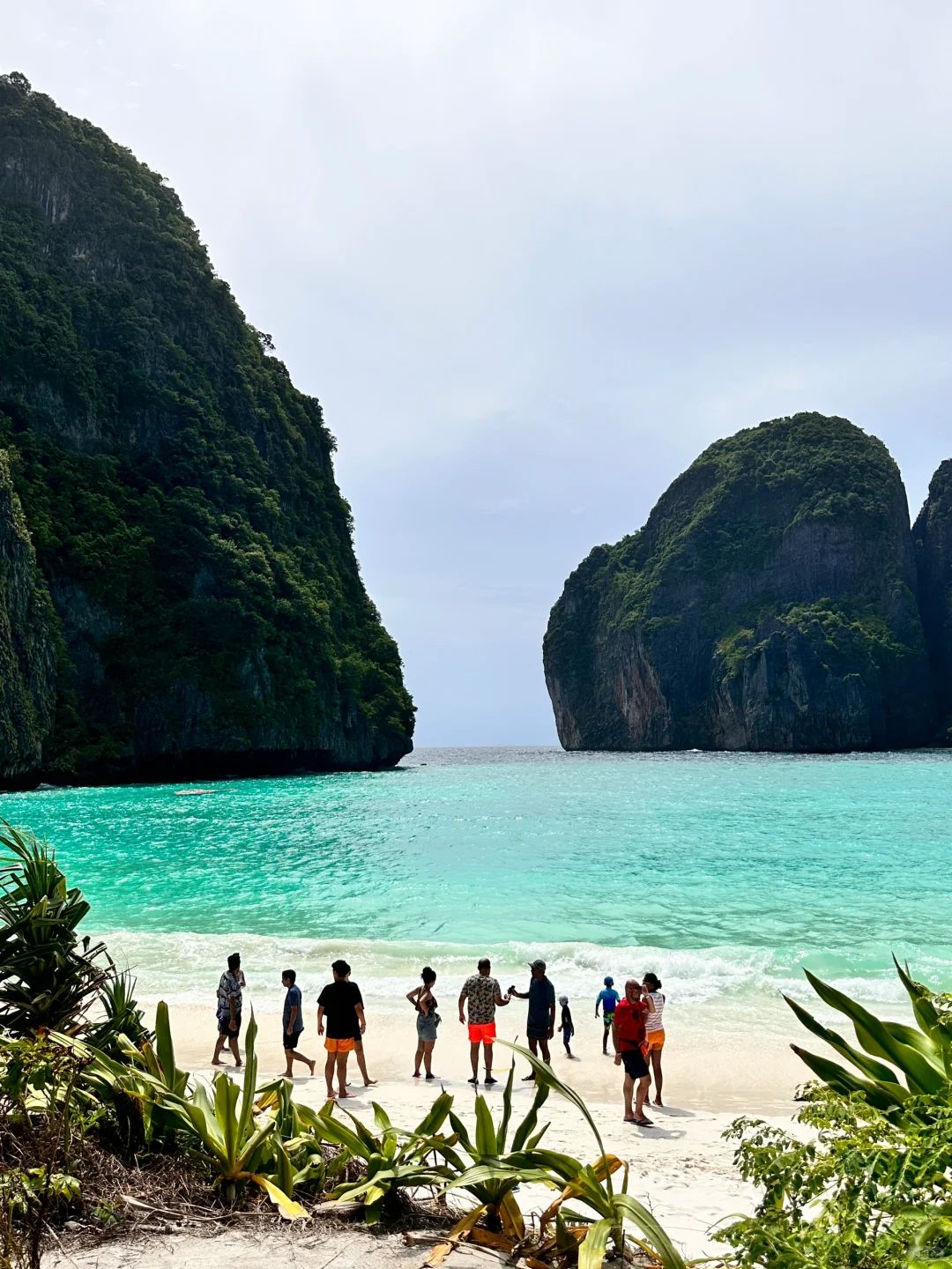 Phuket-Phuket PP Island, experience chasing dolphins and diving under the transparent sea
