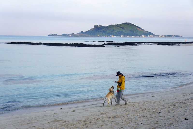 Busan/Jeju-Jeju Island, early morning walk along the Jejae Beach and the Wolryeong-ri Cactus Trail