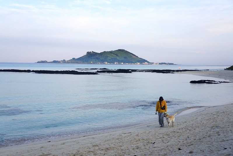 Busan/Jeju-Jeju Island, early morning walk along the Jejae Beach and the Wolryeong-ri Cactus Trail