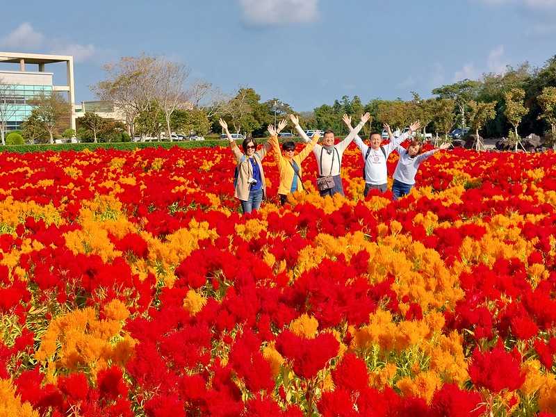 Busan/Jeju-Jeju Island Autumn Travel: 9 Days of In-depth Exploration, Self-Driving Itinerary Sharing