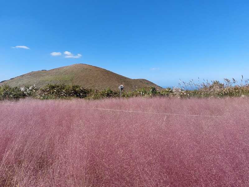 Busan/Jeju-Jeju Island Autumn Travel: 9 Days of In-depth Exploration, Self-Driving Itinerary Sharing