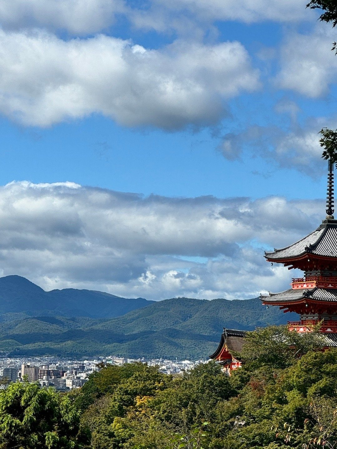 Osaka-Osaka Castle Park, Nara Sika Deer Park and Kyoto Kiyomizu Temple. 7-day travel guide to Osaka