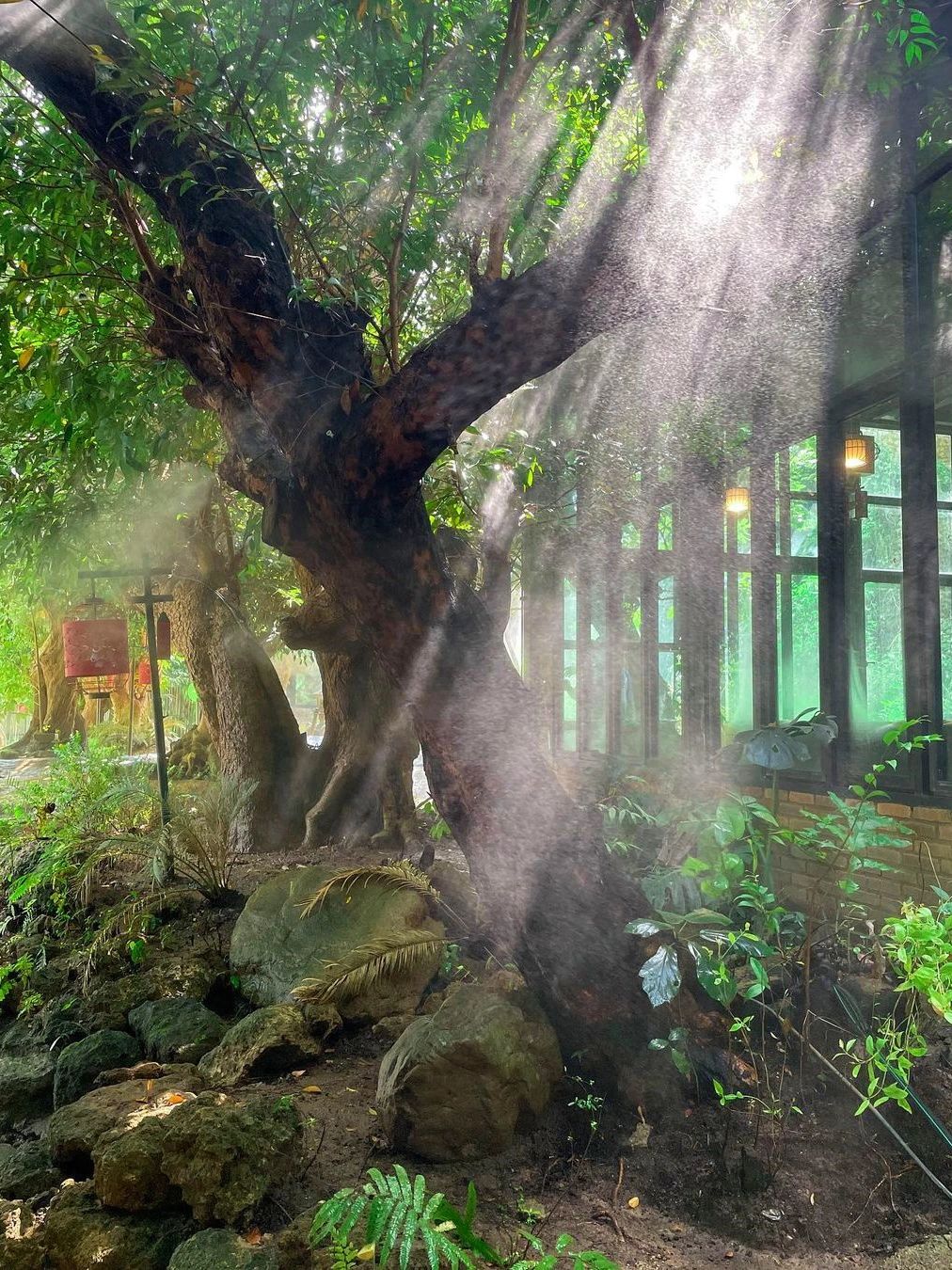 Chiang Mai-Visit the Angel's Land of Dantawada, Chiang Mai, Wachairathan Waterfall Park and Doi Inthanon National Park