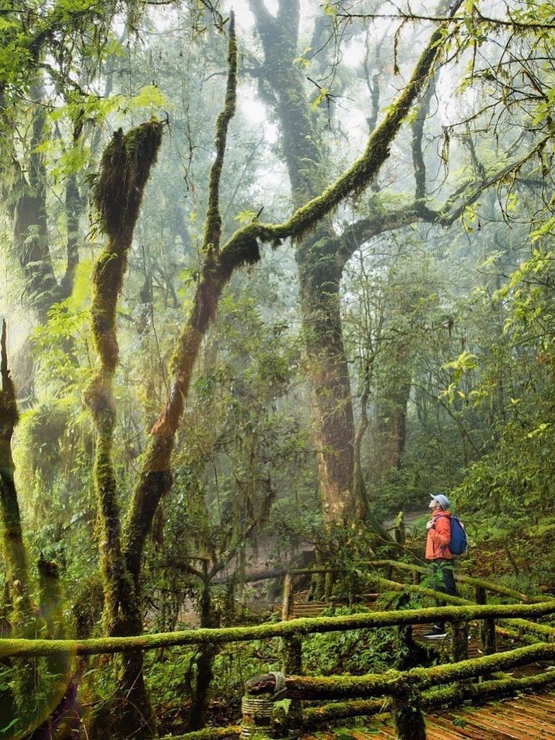 Chiang Mai-Visit the Angel's Land of Dantawada, Chiang Mai, Wachairathan Waterfall Park and Doi Inthanon National Park