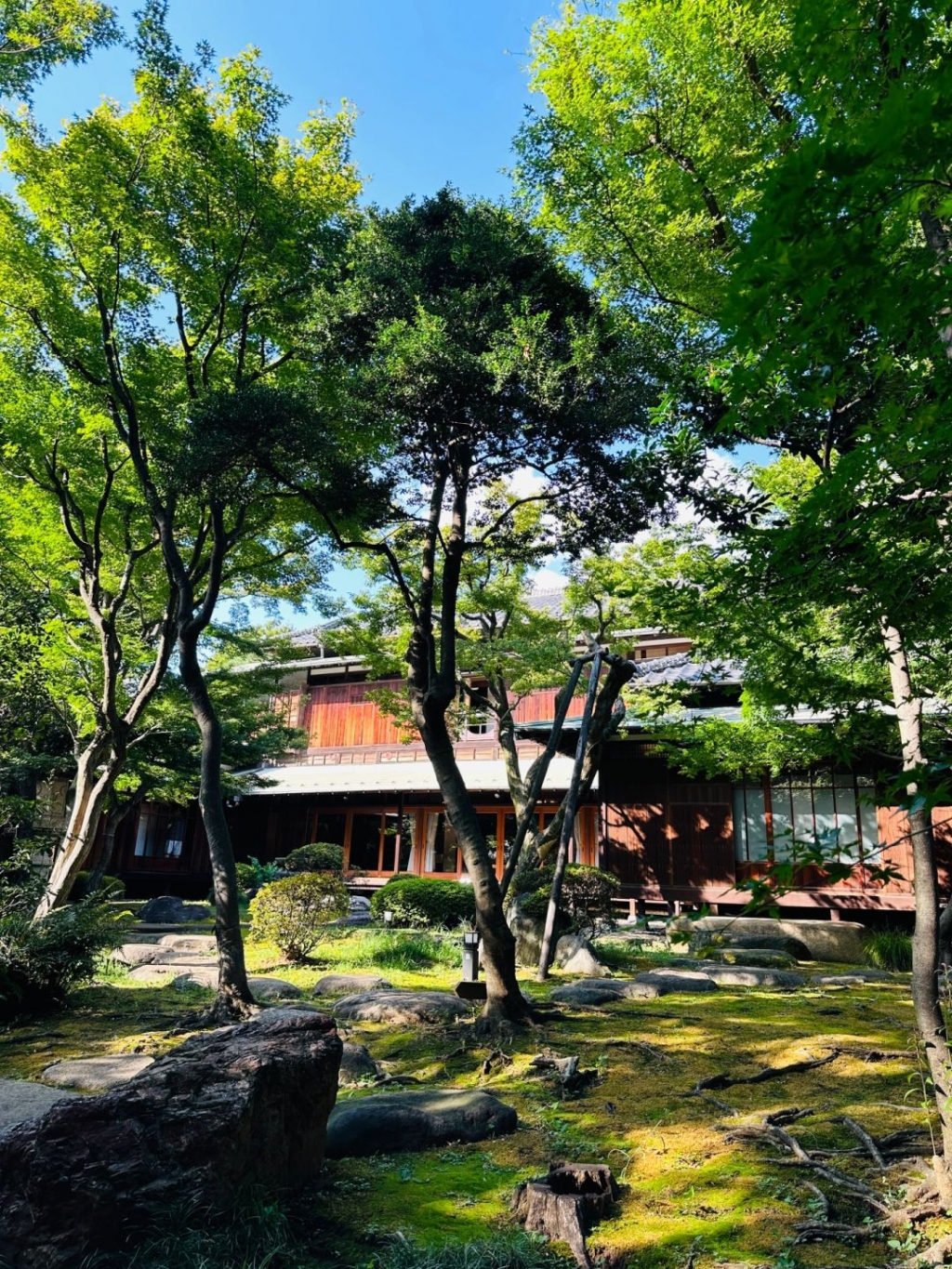 Tokyo-Tokyo super detailed 3-day tour route, a very comfortable way to travel in Japan