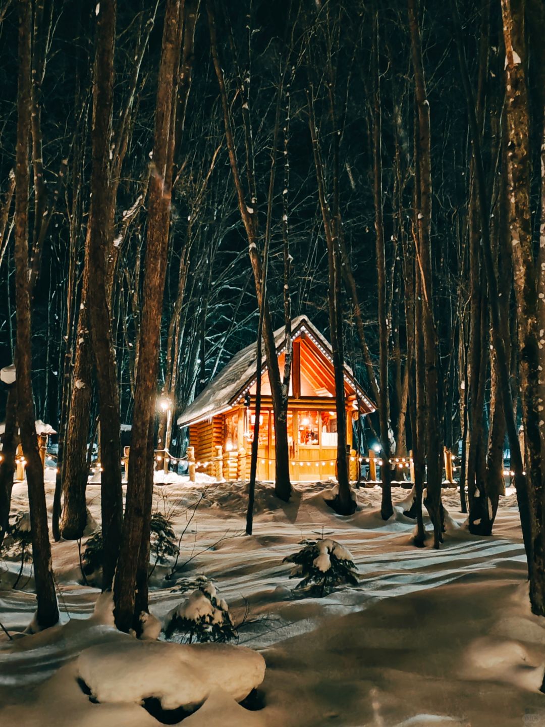 Sapporo/Hokkaido-Hokkaido Forest Fairy Terrace, it really looks like a fairy tale world when it snows