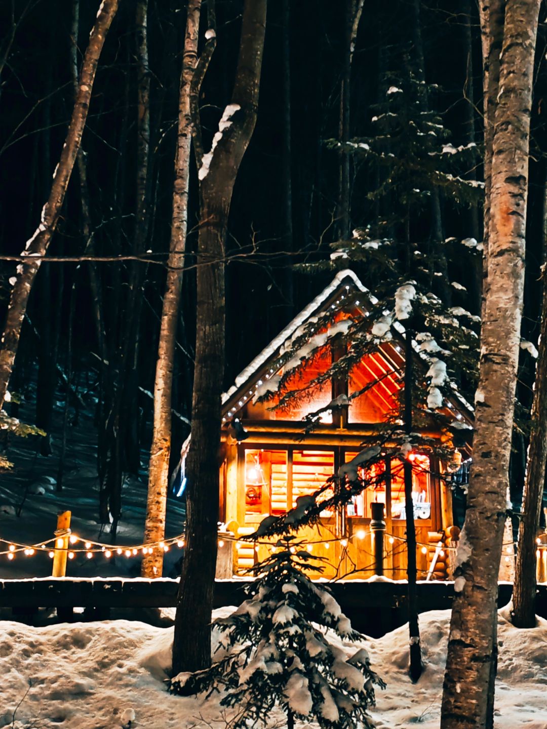 Sapporo/Hokkaido-Hokkaido Forest Fairy Terrace, it really looks like a fairy tale world when it snows