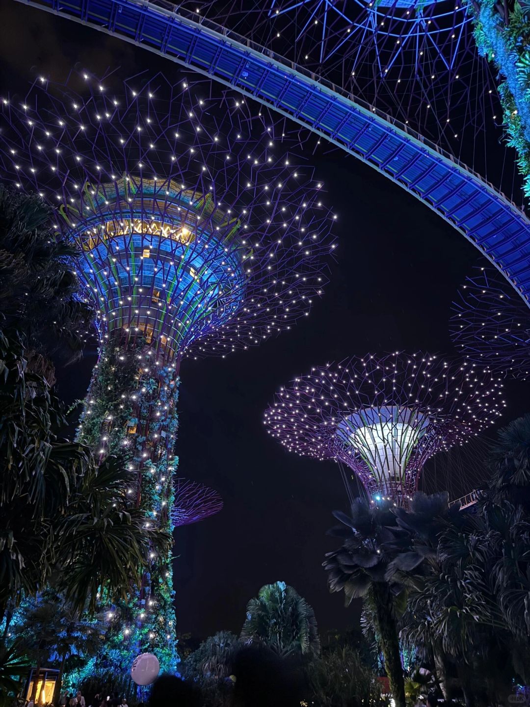 Singapore-Singapore consumer price guide, if you want to save money, read here, great value for money