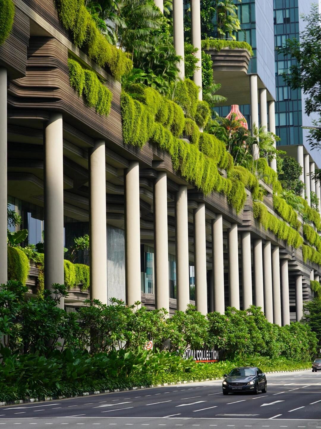 Singapore-Singapore consumer price guide, if you want to save money, read here, great value for money