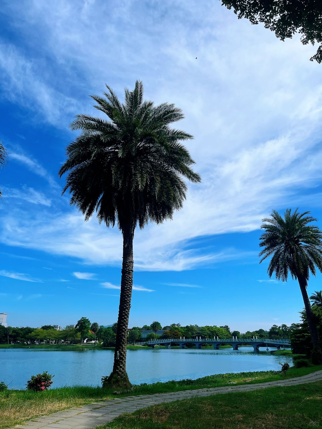 Taiwan-Kaohsiung Zuoying Lotus Pond Scenic Area, the legendary magical Chinese style