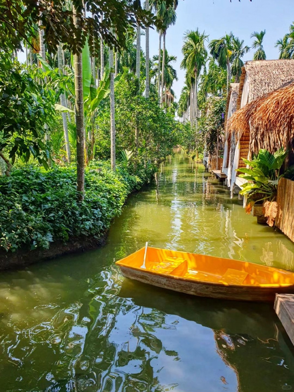 Bangkok-Bubble in the Forest Cafe, Natura Cafe, Baan Suan Sathon, Forest River Cafe in Bangkok