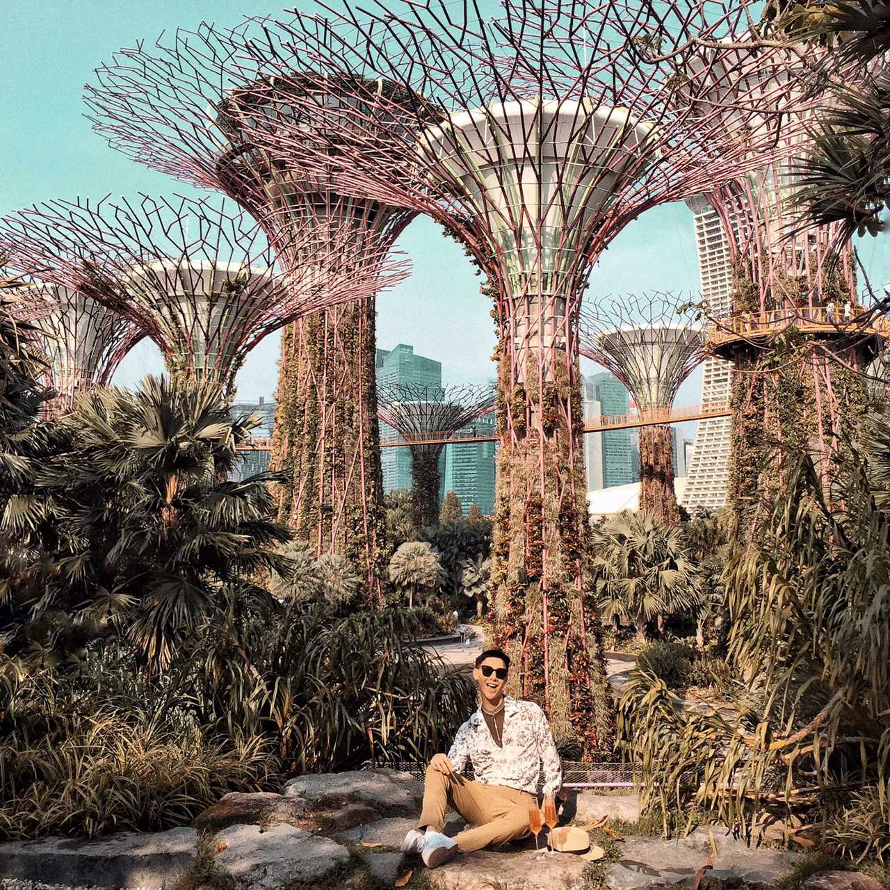 Singapore-Visit Gardens? by the Bay in Singapore and learn where to take great photos