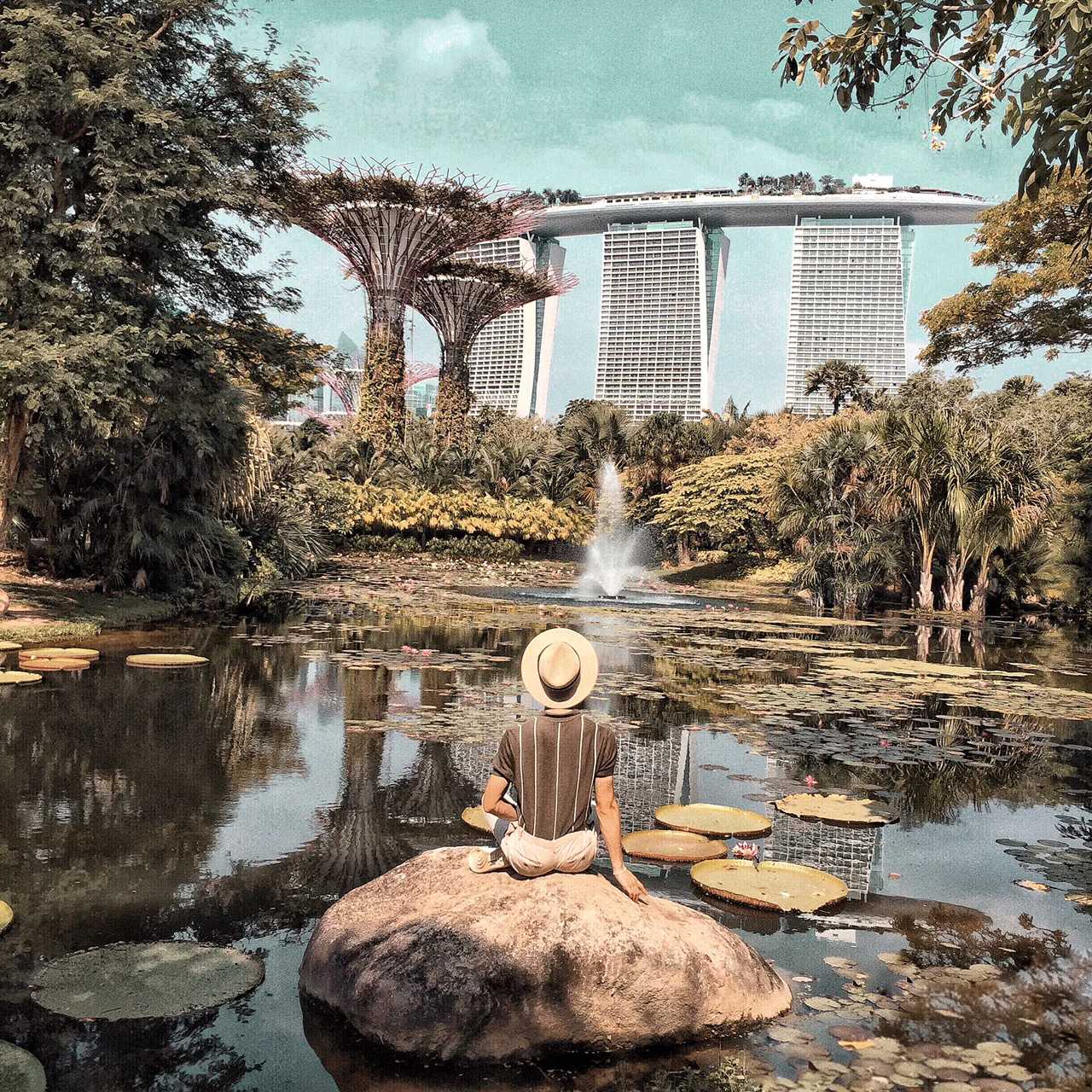 Singapore-Visit Gardens? by the Bay in Singapore and learn where to take great photos
