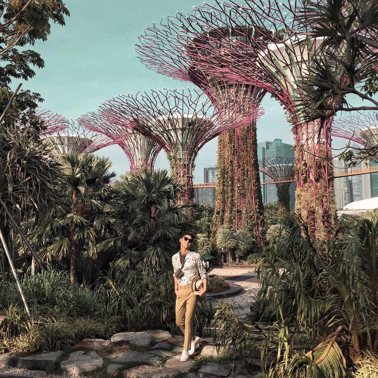 Singapore-Visit Gardens? by the Bay in Singapore and learn where to take great photos
