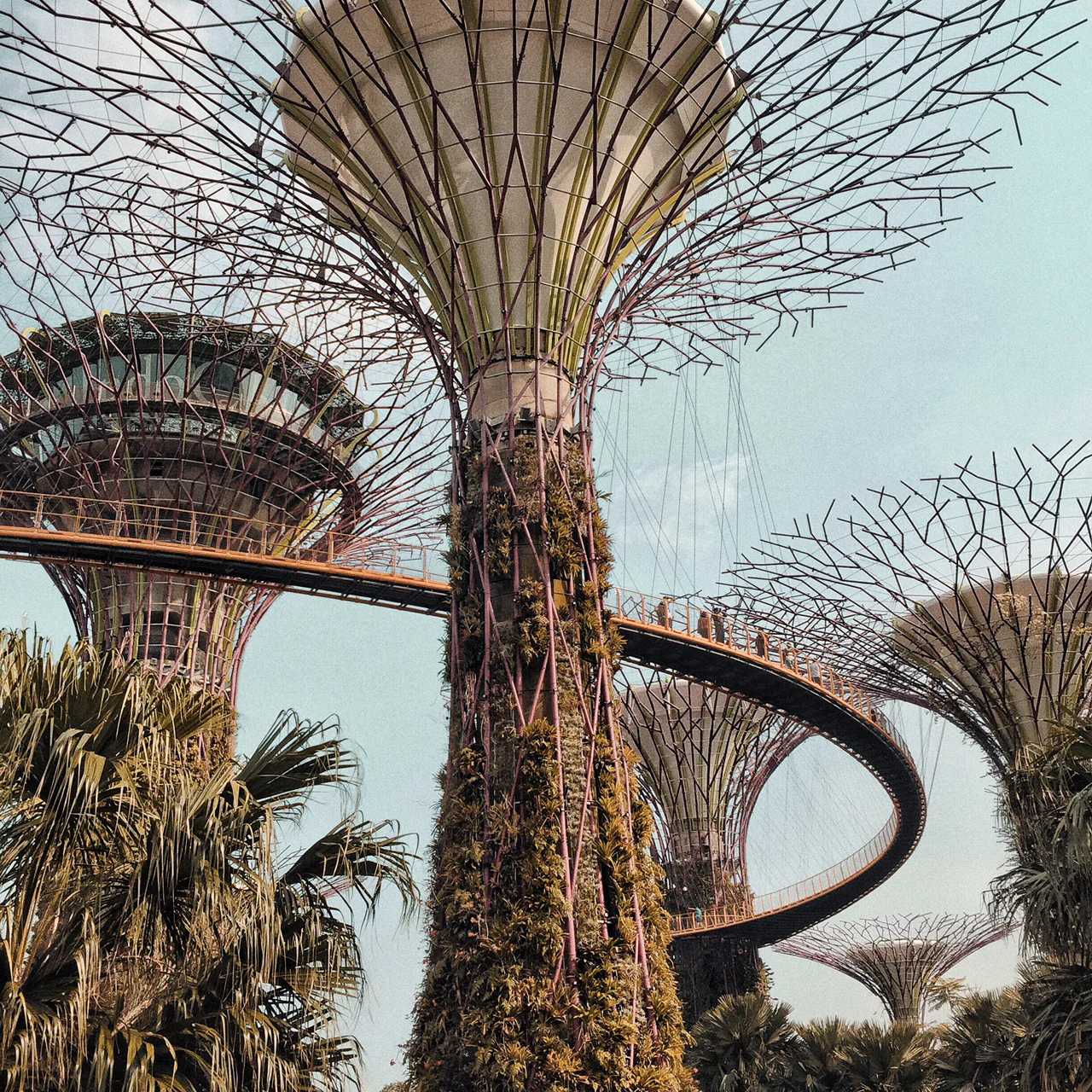 Singapore-Visit Gardens? by the Bay in Singapore and learn where to take great photos