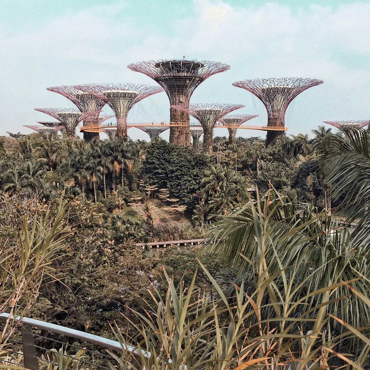 Singapore-Visit Gardens? by the Bay in Singapore and learn where to take great photos