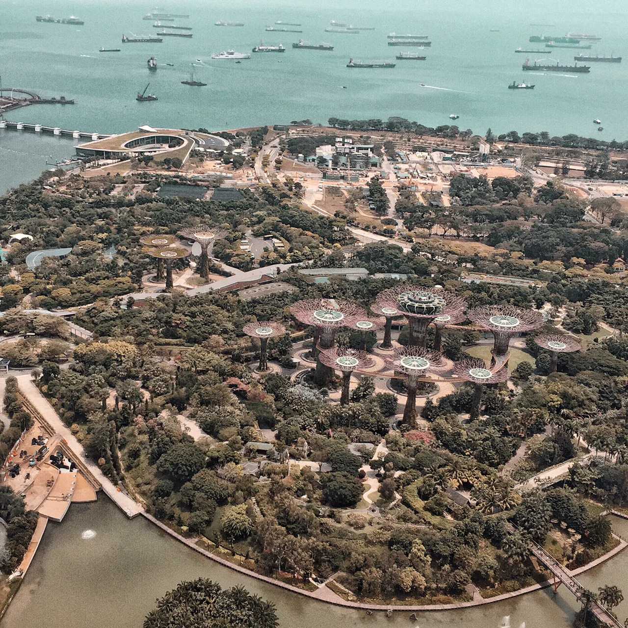 Singapore-Visit Gardens? by the Bay in Singapore and learn where to take great photos