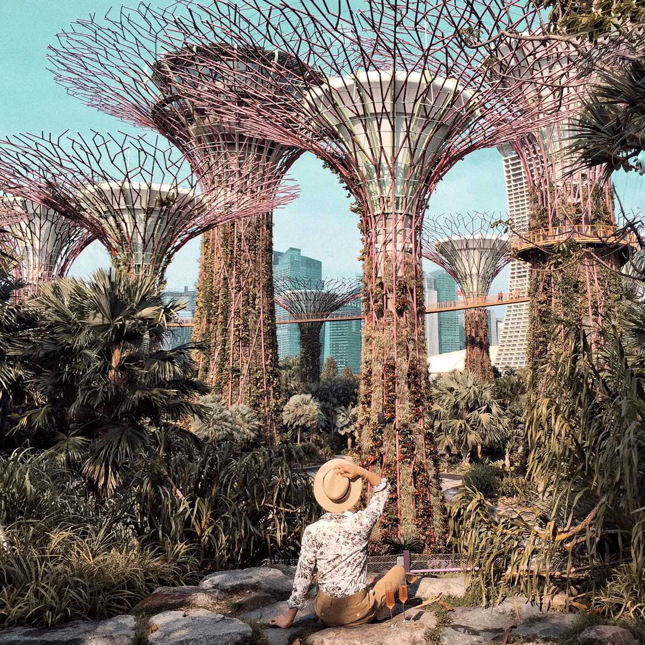 Singapore-Visit Gardens? by the Bay in Singapore and learn where to take great photos
