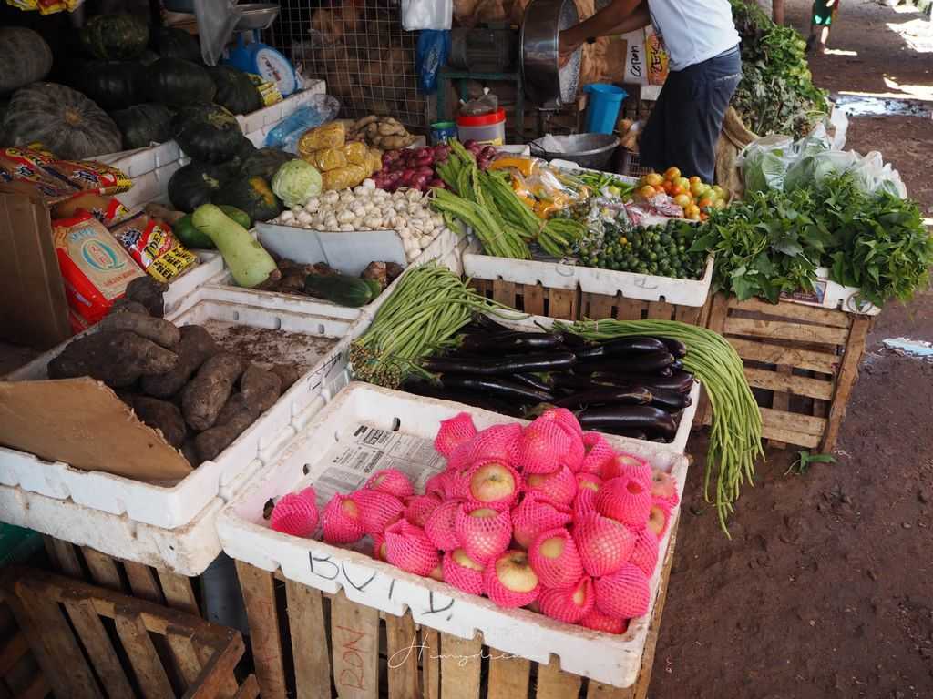 Manila/Luzon-Palawan City, Coron Island Seafood Market, Coron Island Security, Climate, Voltage, Tips, Travel Notes, Coron Island Urban Walk