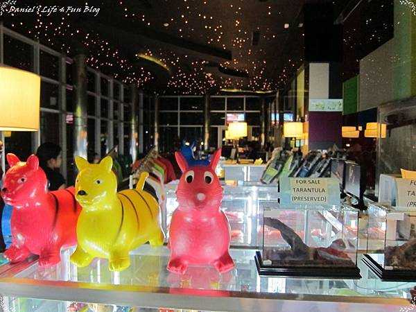Cebu-Crown Regency Cebu Philippines Reviews and Crown Regency Sky Terrace Walk