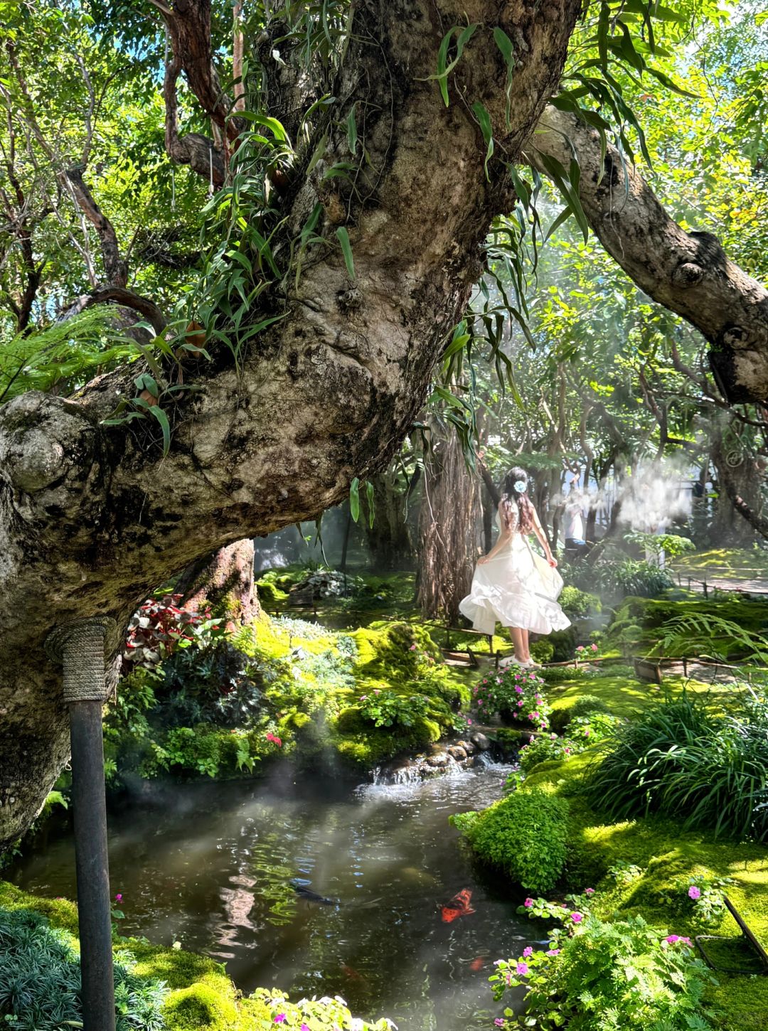 Chiang Mai-Chom Cafe and Restaurant, ??‍♀️Alice in Wonderland, Chiang Mai, jungle garden style