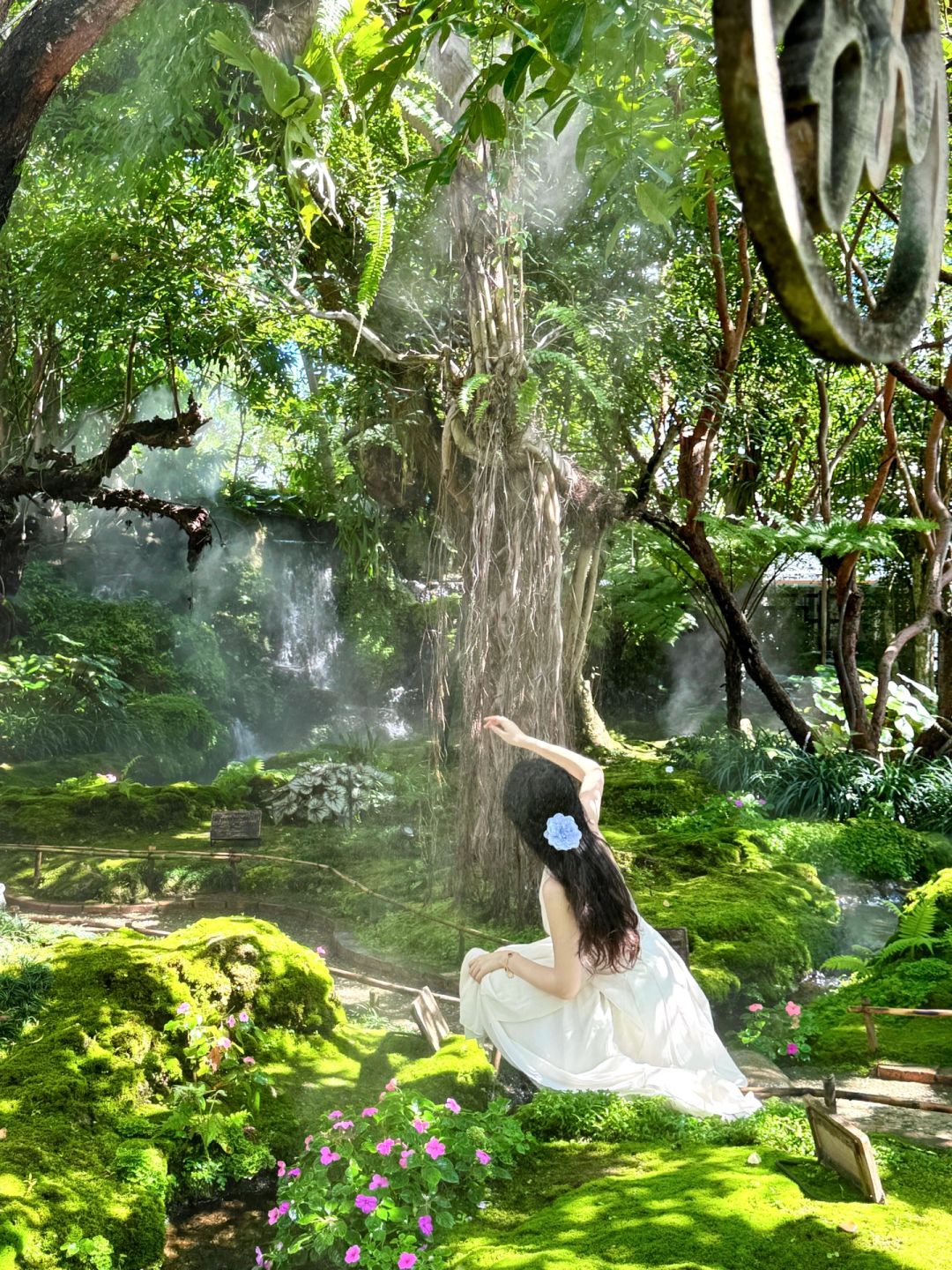 Chiang Mai-Chom Cafe and Restaurant, ??‍♀️Alice in Wonderland, Chiang Mai, jungle garden style