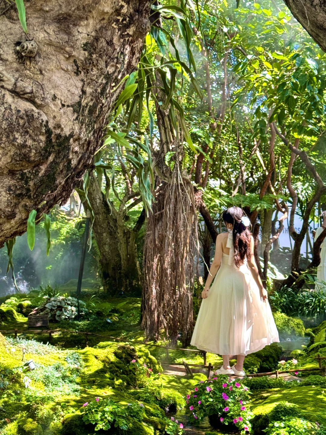 Chiang Mai-Chom Cafe and Restaurant, ??‍♀️Alice in Wonderland, Chiang Mai, jungle garden style