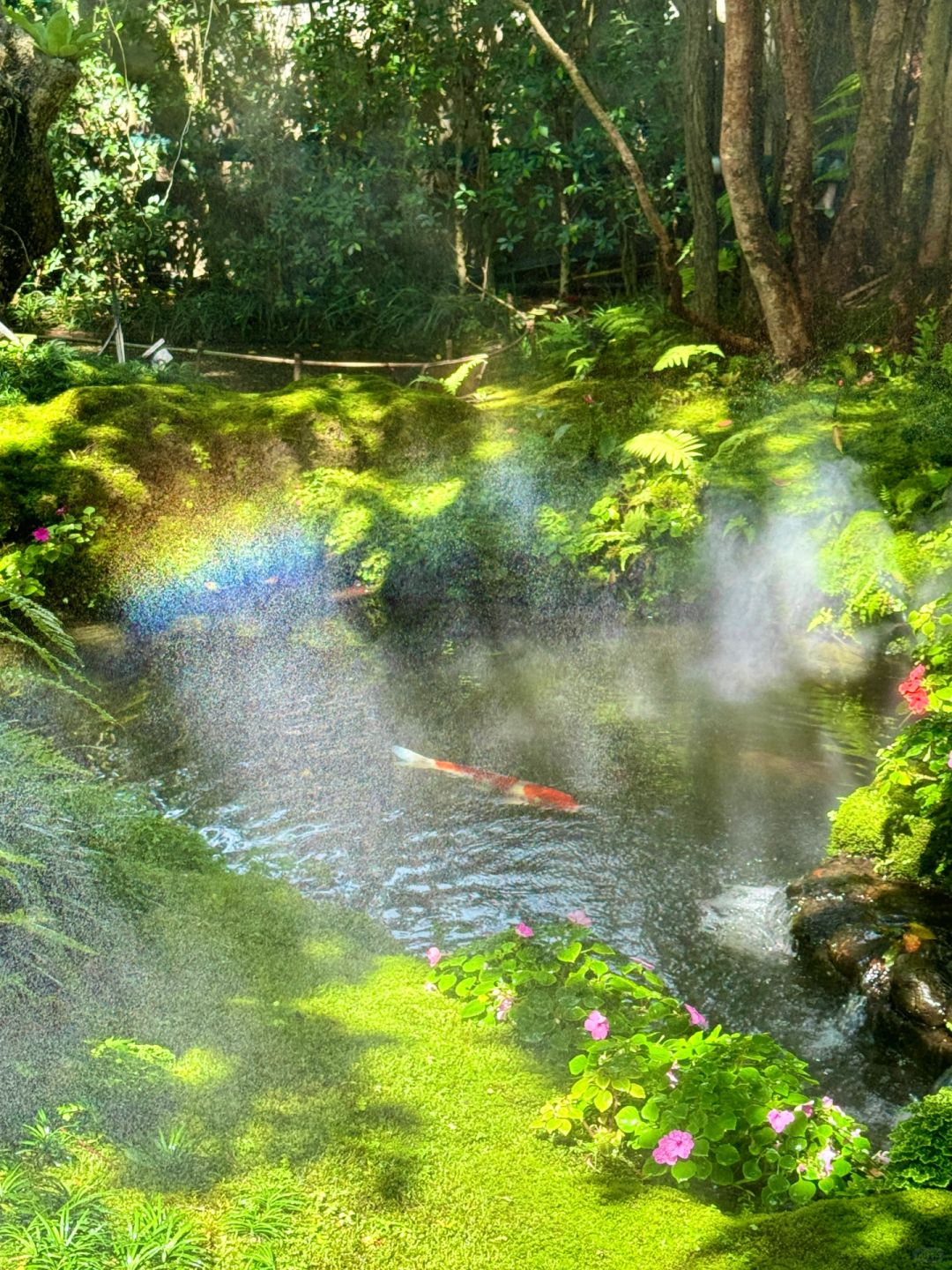 Chiang Mai-Chom Cafe and Restaurant, ??‍♀️Alice in Wonderland, Chiang Mai, jungle garden style